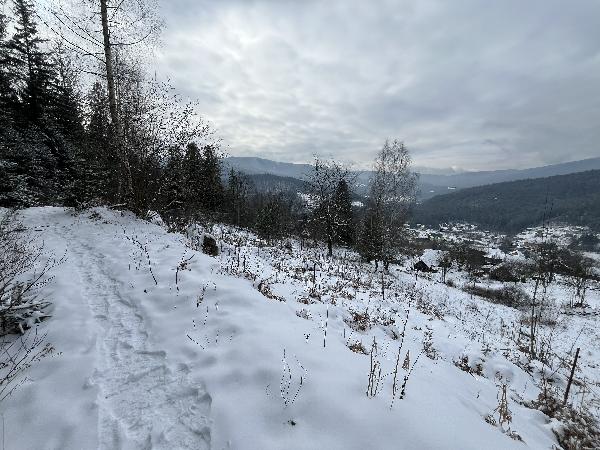  - фото нерухомості